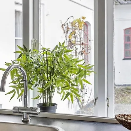 Ferienhaus Renovated By The On Mon *