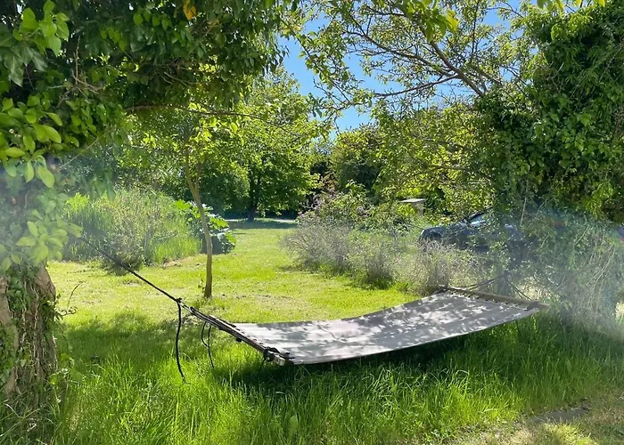 Renovated By The On Mon * Stege